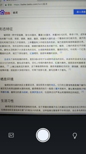 灵鹿文字识别官网版app
