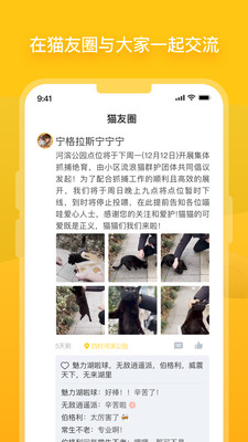 哈啰街猫v1.0.1