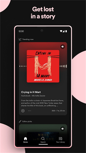 spotify安卓版v8